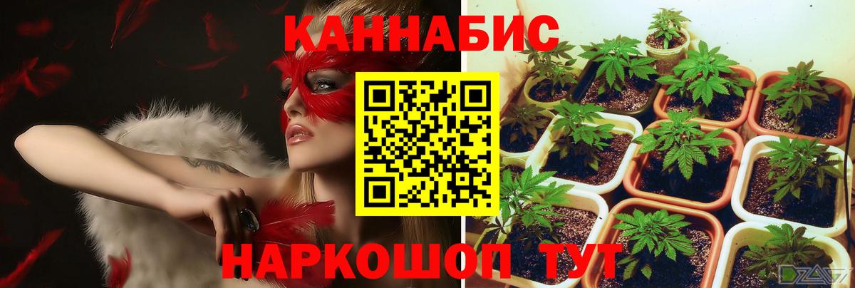 Конопля VHQ  Вход с VPN  Каннабис VHQ  Джанкой  Канабис THC 21% 